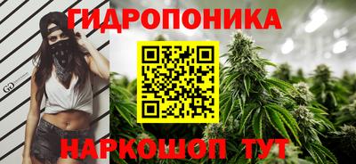гашик Бугуруслан